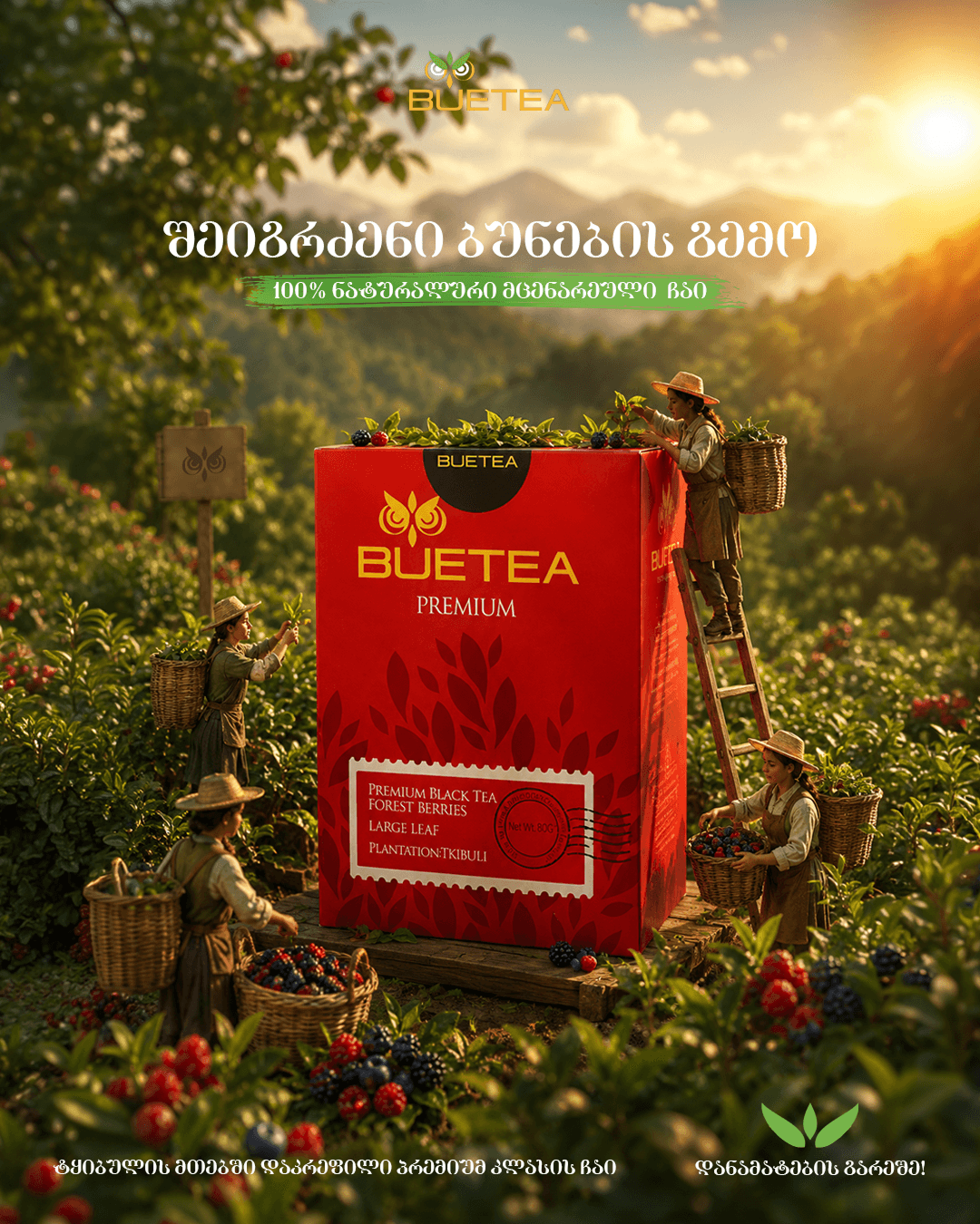 BUETEA — ბუეთი - 13